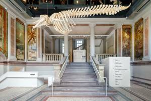 Florent LUKAS - Agence LFA!